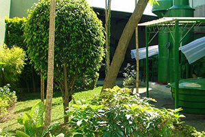 Compromisso com o meio ambiente